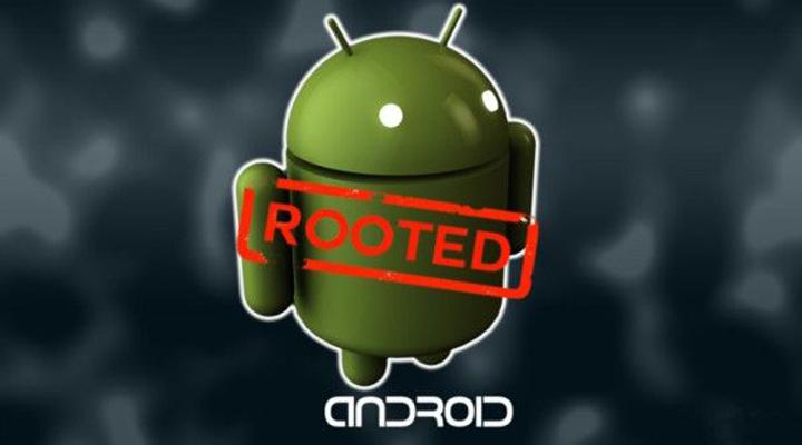 fin del root
