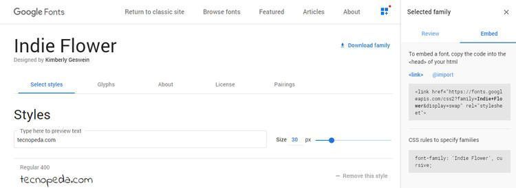 Añadir Nuevos Tipos de Fuentes en Windows 10 11 Utilizar google fonts en una página web