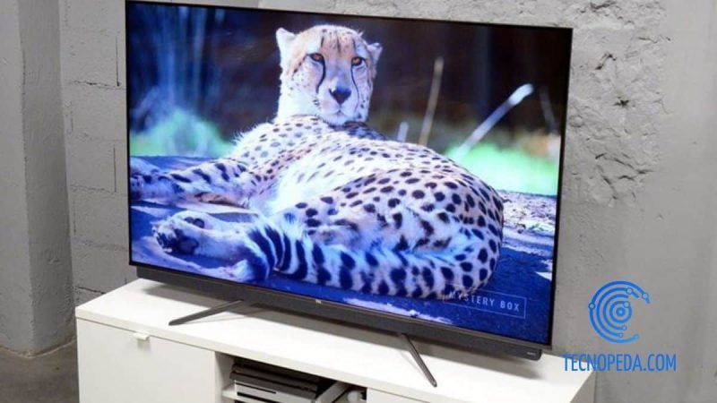 Tigre en un televisor