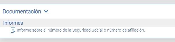 Informe sobre el número de la seguridad social
