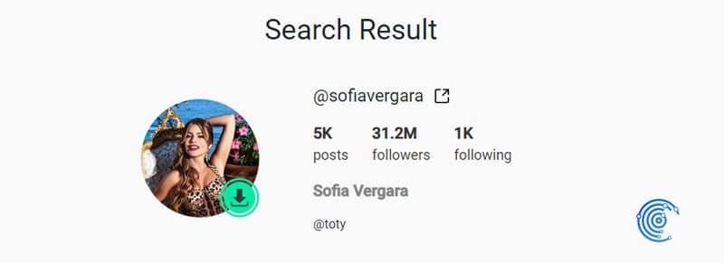Ver perfil de Instagram de forma anónima