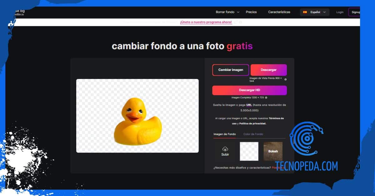 Foto con fondo blanco cambiado con Eraser