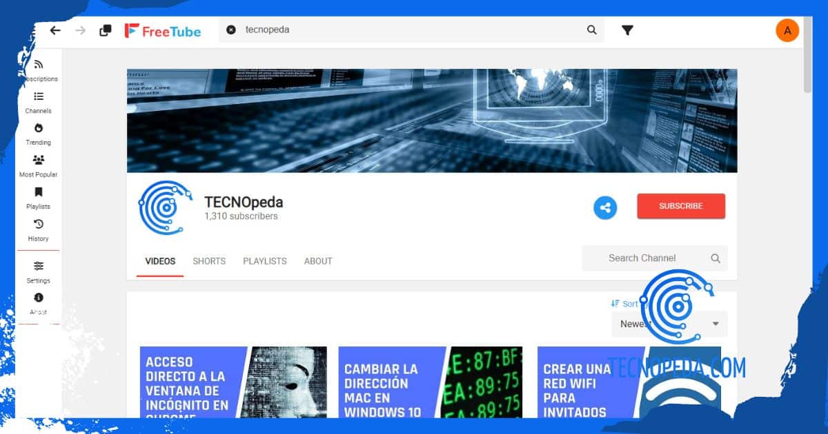 Aplicación de Freetube en Windows