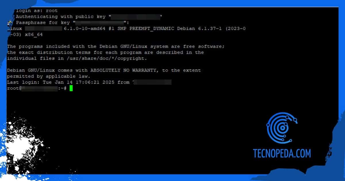 Pantalla de conexión a VPS